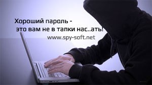 Анализ базы логинов и паролей пользователей Мэйл.ру