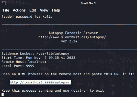 Использование Autopsy Kali Linux Forensics