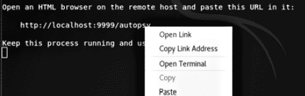 Запуск Autopsy Forensic Browser в терминале Kali Linux