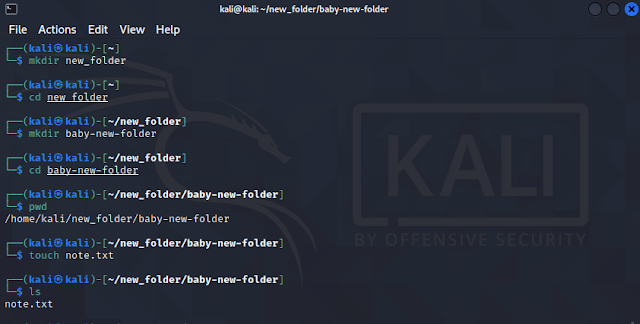 Создание каталога в терминале Kali Linux