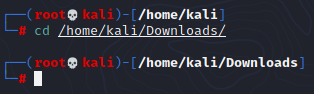 Папка с файлом Go Kali Linux