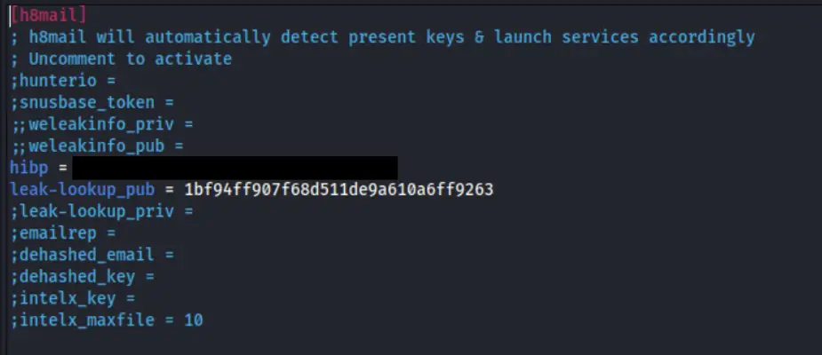 h8mail API ключ