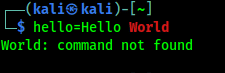 Неправильное использование переменной Bash Kali Linux 
