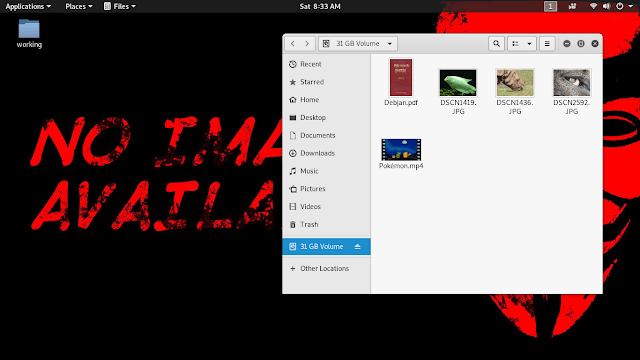 Файлы на флешке в Kali Linux