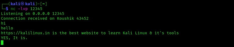 Чат Netcat Kali Linux