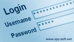 Как посмотреть пароль через код элемента