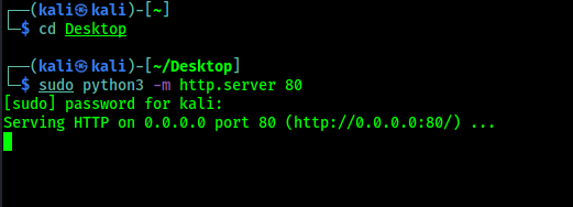 Запуска сервера Ngrok на Kali Linux