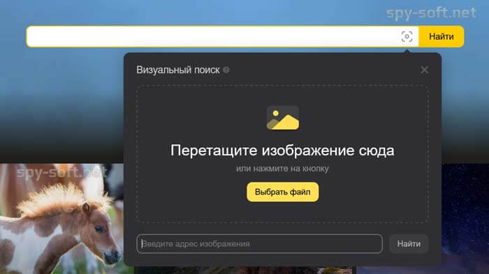 Поиск по фотографии Yandex