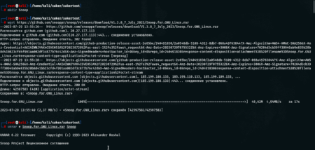 Установка и использование Snoop Project в OSINT