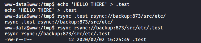 Запись тестового файла в директорию /etc контейнера backup