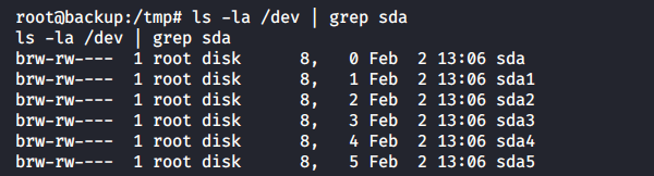 Листинг устройств sda* в директории /dev контейнера backup