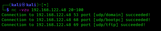 Сканирование портов UDP Netcat